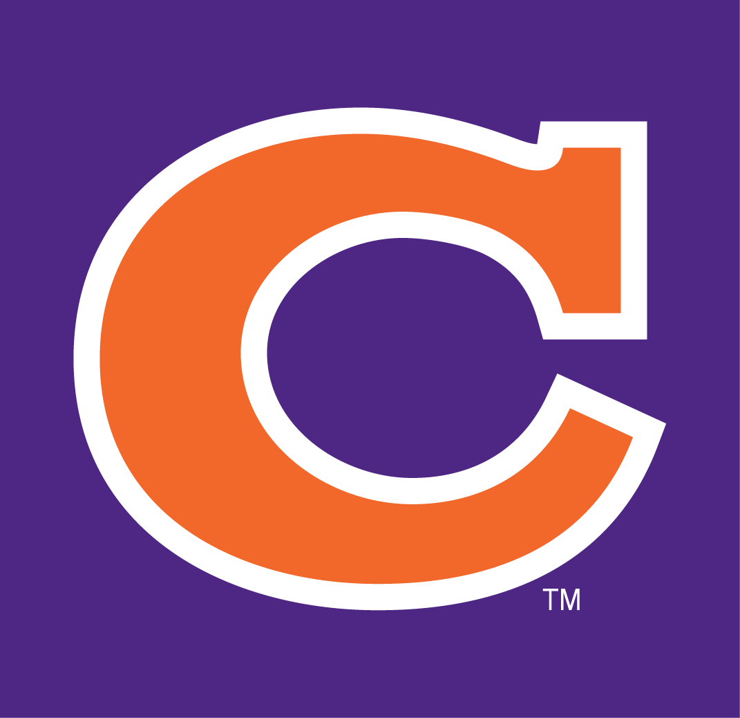 Clemson Tigers 1965-1969 Alternate Logo iron on transfers for clothing